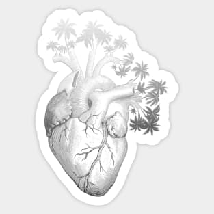 Silver Colored Anatomically Correct Human Heart - Palm Trees Sticker